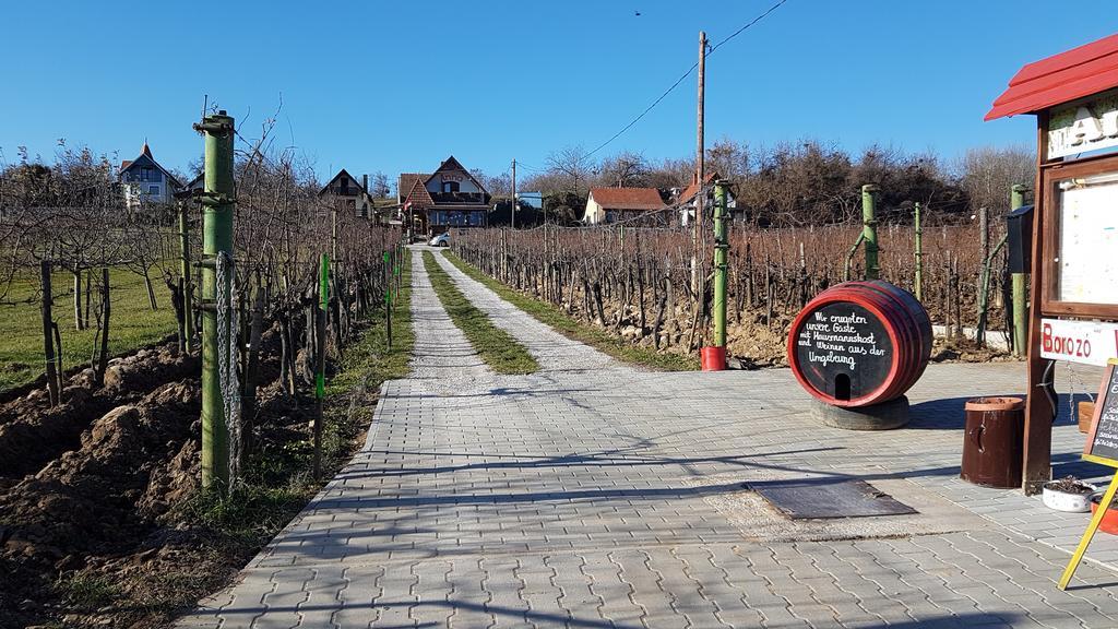 Villa Nora Hévíz Exteriör bild